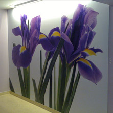 Placas e Sinalização